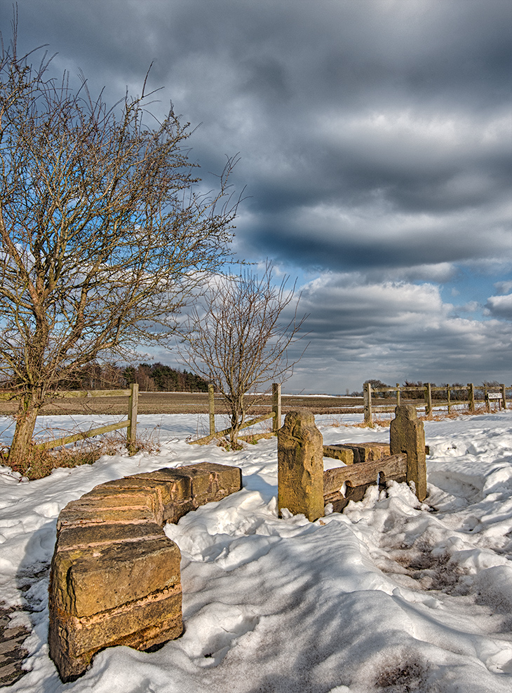 Snowy stocks